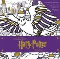 Harry Potter: Winter at Hogwarts: A Magical Colouring Set (inbunden)