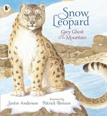 Snow Leopard: Grey Ghost of the Mountain (hftad)