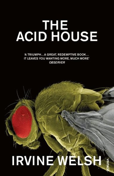 Acid House (e-bok)