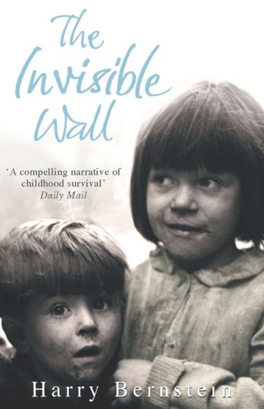 Invisible Wall (e-bok)