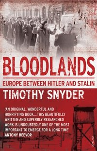 Bloodlands (e-bok)