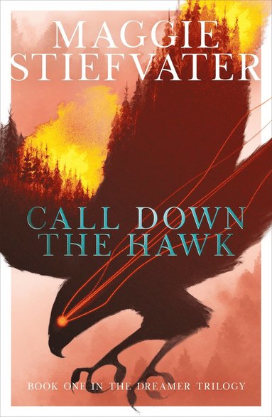 Call Down the Hawk: The Dreamer Trilogy #1 (häftad)