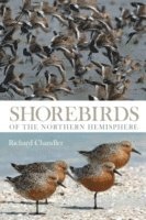 Shorebirds of the Northern Hemisphere (inbunden)