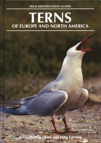 Terns of Europe and North America (e-bok)