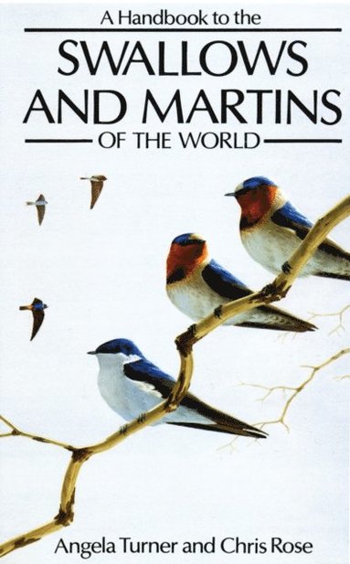 Handbook to the Swallows and Martins of the World (e-bok)