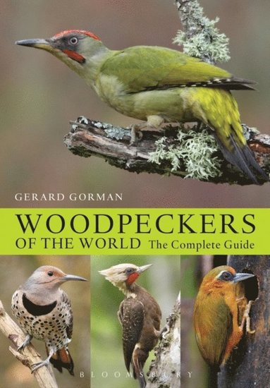 Woodpeckers of the World (inbunden)