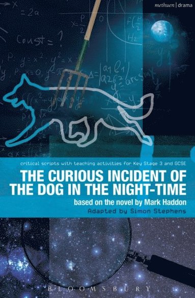 Curious Incident of the Dog in the Night-Time (e-bok)