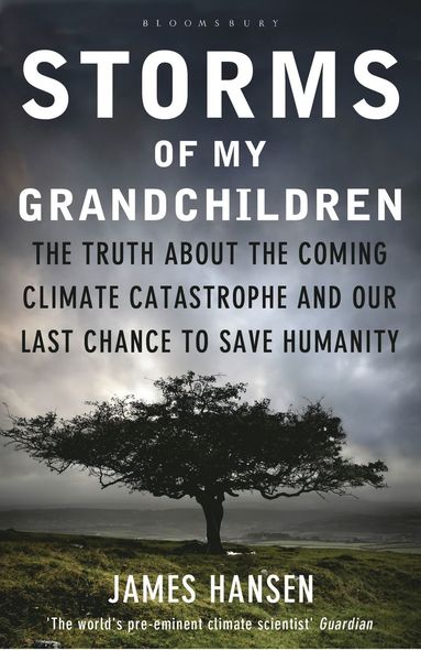 Storms of My Grandchildren (häftad)