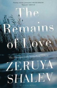 The Remains of Love (e-bok)