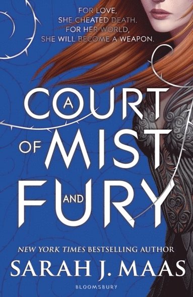 Court of Mist and Fury (e-bok)