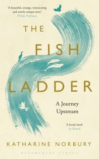 The Fish Ladder (e-bok)