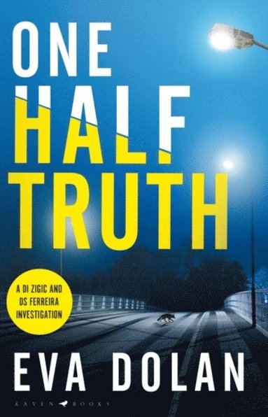 One Half Truth (e-bok)