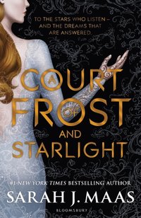 Court of Frost and Starlight (e-bok)