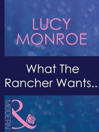 WHAT THE RANCHER WANTS... (e-bok)