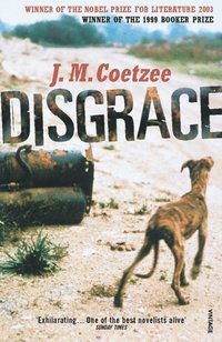 Disgrace (e-bok)
