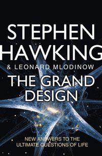 The Grand Design (e-bok)