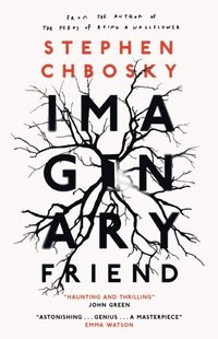 Imaginary Friend (e-bok)