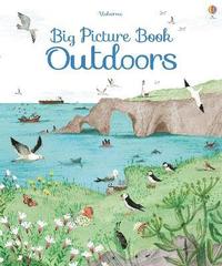 Big Picture Book Outdoors (inbunden)