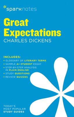 Great Expectations SparkNotes Literature Guide (häftad)