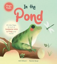 In the Pond: A Magic Flaps Book (kartonnage)