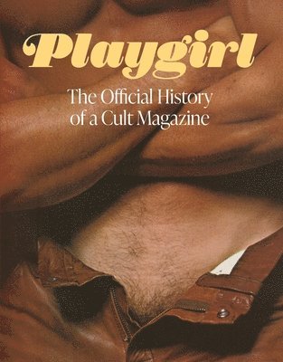Playgirl: The Official History of a Cult Magazine (h�ftad)