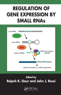 Regulation of Gene Expression by Small RNAs (e-bok)
