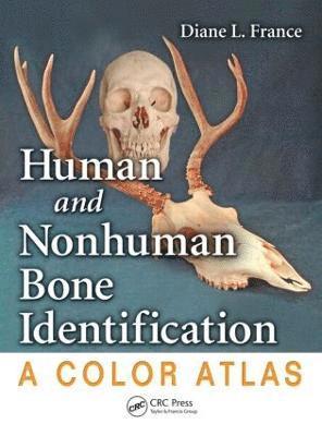 Human and Nonhuman Bone Identification (inbunden)