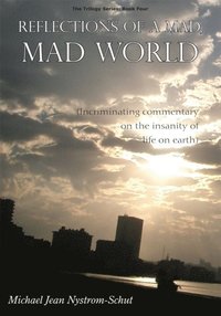 Reflections of a Mad, Mad World (e-bok)