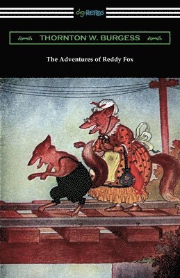 The Adventures of Reddy Fox (hftad)