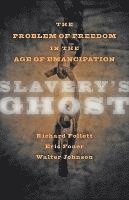 Slavery's Ghost (hftad)