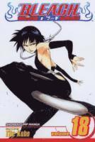Bleach, Vol. 18 (häftad)