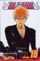 Bleach, Vol. 19 (häftad)