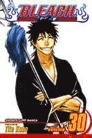 Bleach, Vol. 30 (häftad)