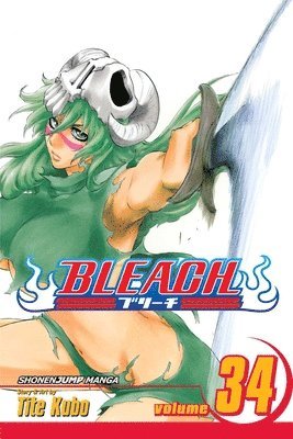 Bleach, Vol. 34 (häftad)