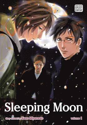 Sleeping Moon, Vol. 1 (häftad)