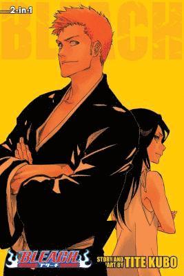 Bleach (2-in-1 Edition), Vol. 25 (häftad)