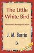 Little White Bird