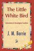 Little White Bird