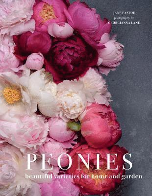 Peonies