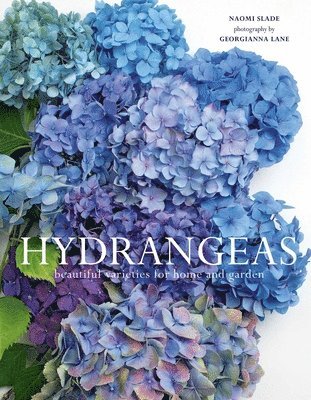 Hydrangeas: Beautiful Varieties for Home and Garden (inbunden)