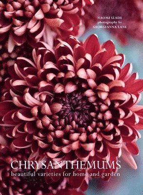 Chrysanthemums: Beautiful Varieties for Home and Garden (inbunden)