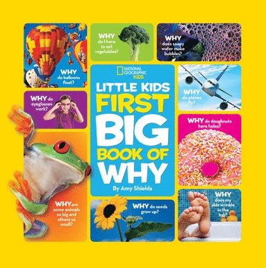 Little Kids First Big Book of Why (h�ftad)