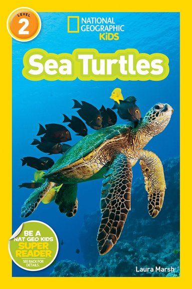 National Geographic Kids Readers: Sea Turtles (h�ftad)