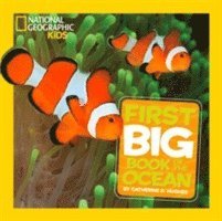 National Geographic Little Kids First Big Book of the Ocean (hftad)