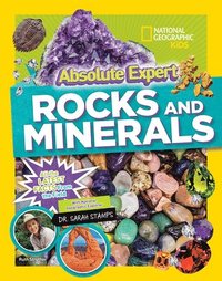 Absolute Expert: Rocks &; Minerals (inbunden)