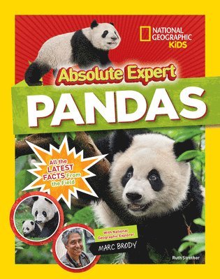 Absolute expert: Pandas (inbunden)