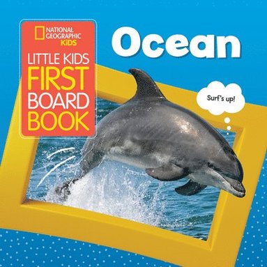 Little Kids First Board Book Ocean (hftad)