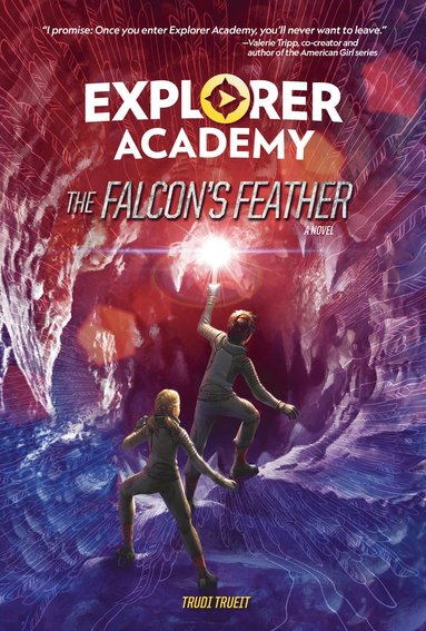 Falcon's Feather Book 2 (hftad)