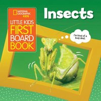 Little Kids First Board Book Insects (kartonnage)