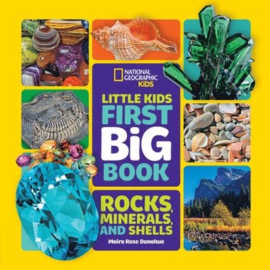 Little Kids First Big Book of Rocks, Minerals and Shells (hftad)
